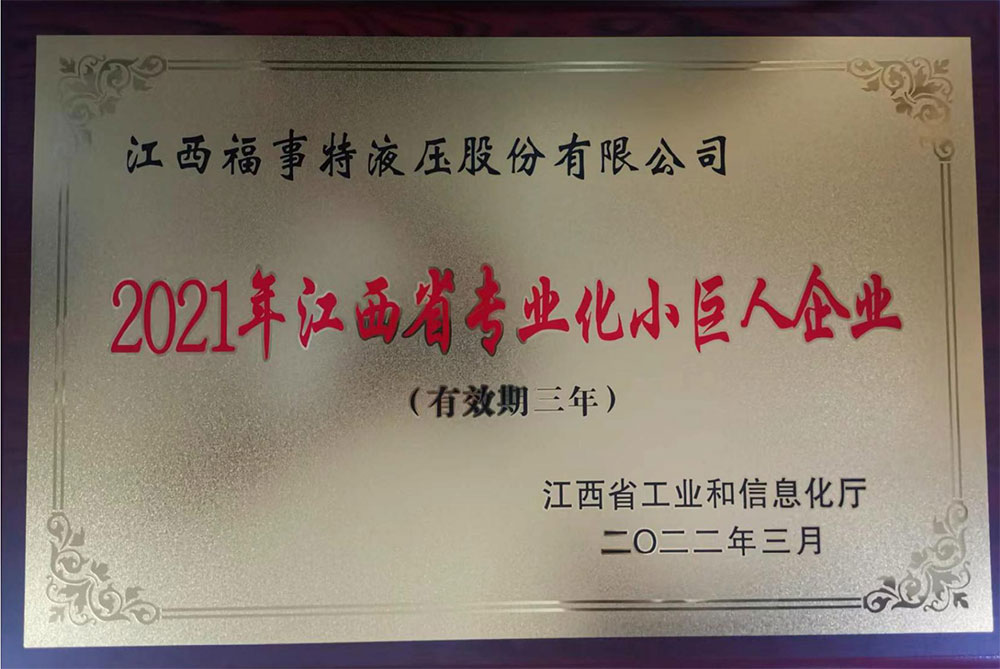 2021年江西省专业化小巨人企业